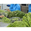 Özenle Toplanmış Premium Kurutulmuş Haraç Yeşilleri