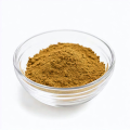 Green Tea Extract 98% Tea Polyphenol