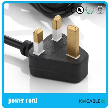 BSI plug electrical extension cord