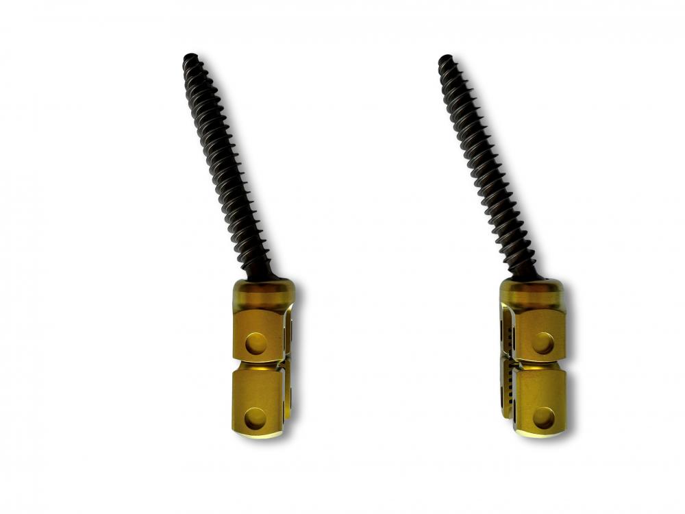 Polyaxial Cortico Cancellous Pedicular Reduction Screw