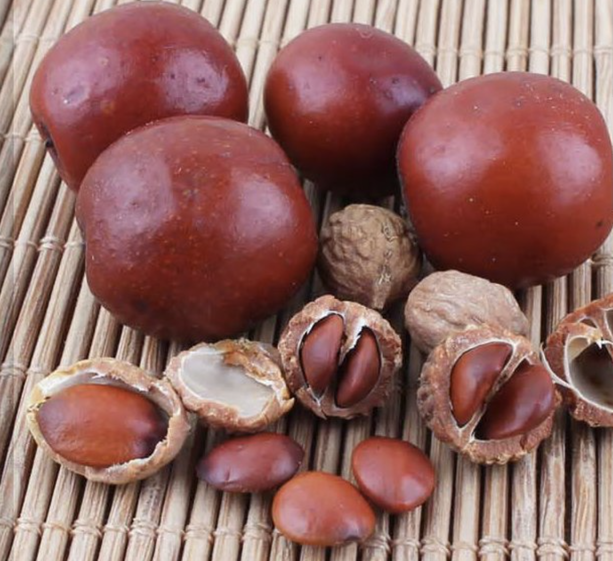 Herbal Ziziphus Extract Powder