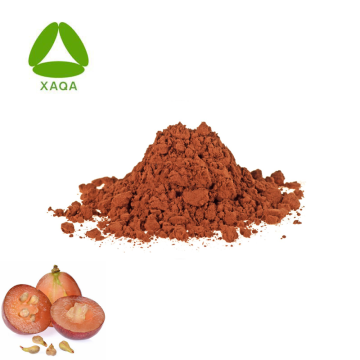 Bulk Natural Grape Seed Extract OPC 95% Powder