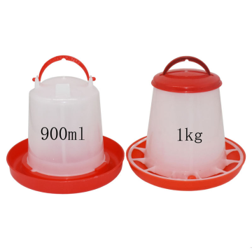 Automatic Broiler Breeder Feeder and Drinker System for High-Quality Poultry Farming