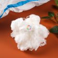 /msite/products/detail/productid/63649432/id/1524014.html