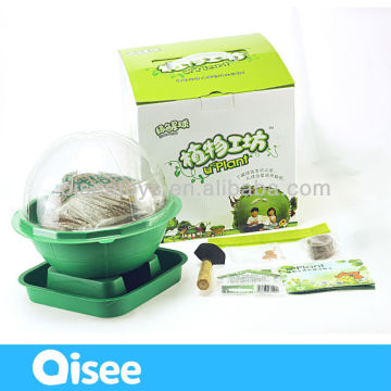 chinese children thanks-giving toys plant kindom diy toy green globe