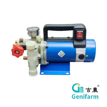 Unité de pompe à piston OEM 48V 200W Ag