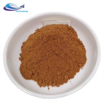 Bột chiết xuất lá bạc hà vận chuyển nhanh