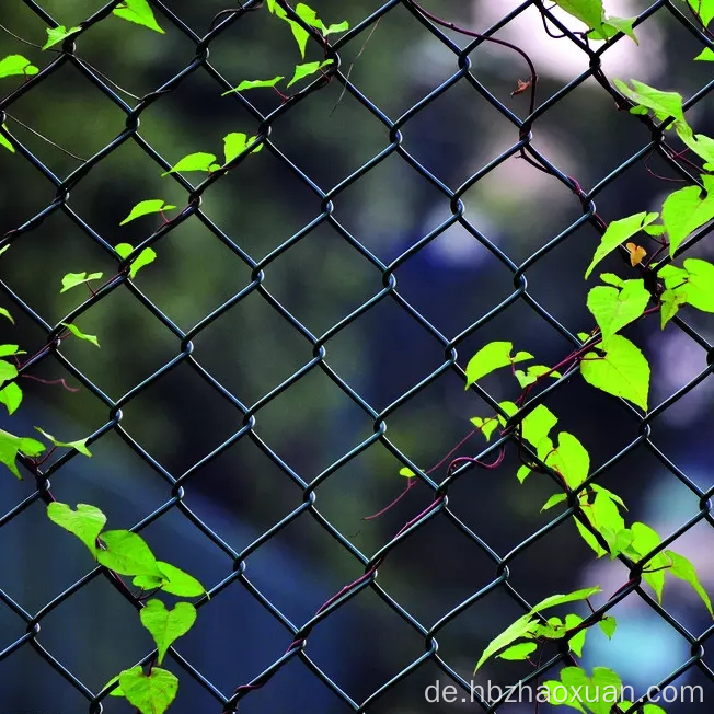 Heiße Verkaufskette Glieder Zaun Drahtnetz Paneele