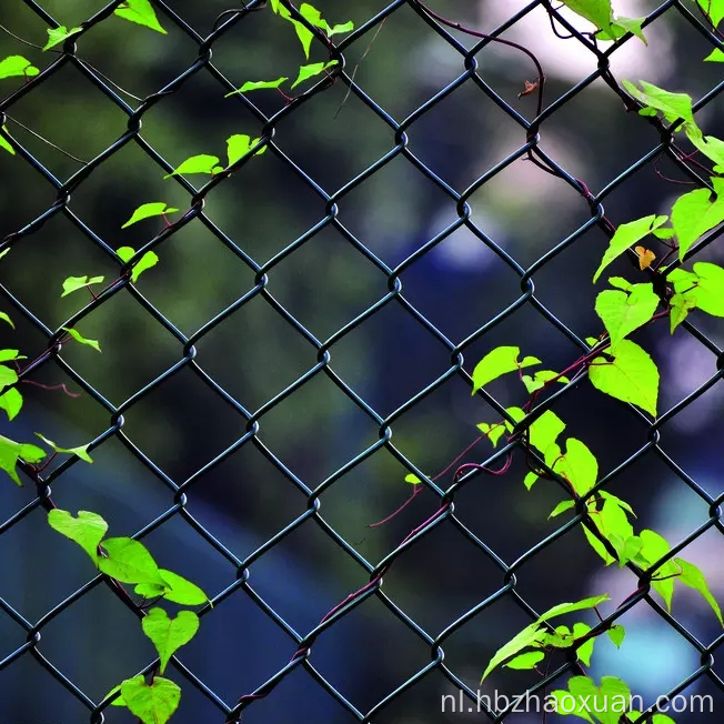 Hot Sale Chain Link hek draadgaaspanelen