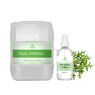 Thuja-Hydrolat – 100 % rein und natürlich zu großen Großhandelspreisen