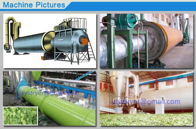 Plant Rotary Barrel Dryer