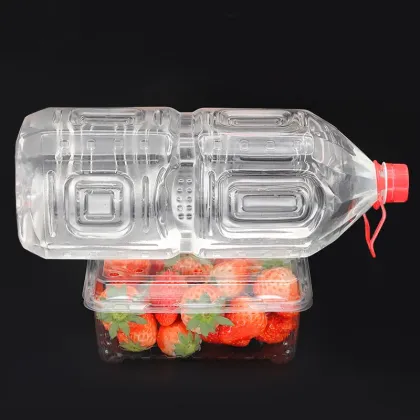 fruit tray plastic fruit trayClear fruit tray