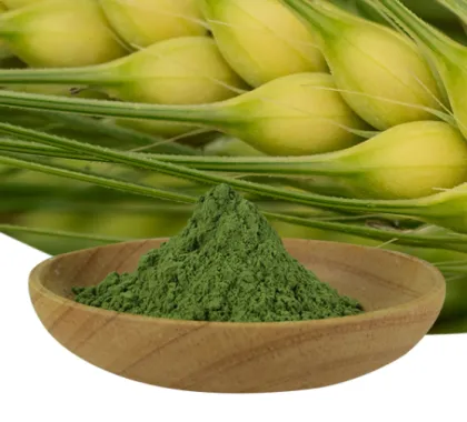 100% Natural Green Wheat Barley Grass juice extract