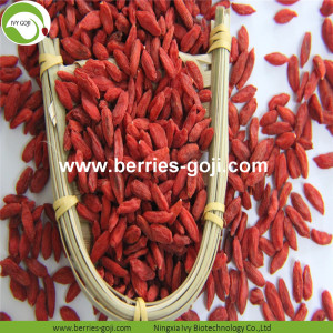 Factory Supply Fruits Vitamins Buyers Goji Berry