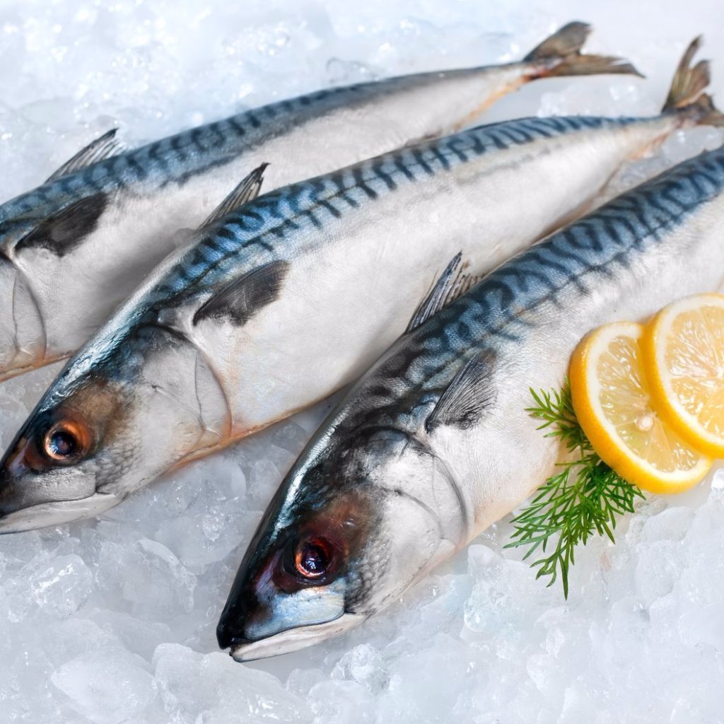 Mackerel with Vegetable Oil