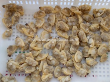 V-packed cooked IQF baby clam meat