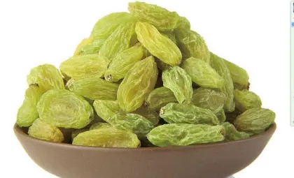Dried xinjiang green raisins for export