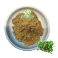 /msite/products/detail/productid/65166459/id/1510799.html