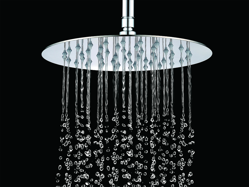 Shower Head 01