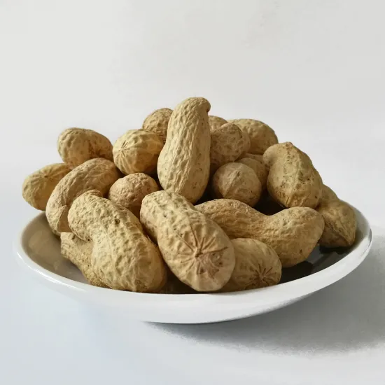 Hot shelling roasted peanut in shell