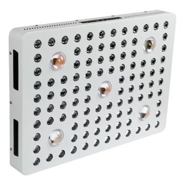 Hidropónico COB Led Grow Light Full Spectrum