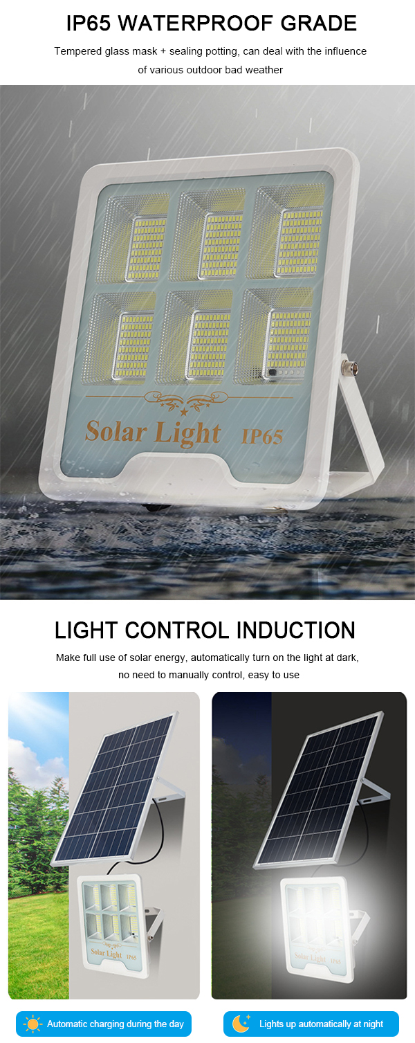 LED Flood Light with Solar-Powered Brightness