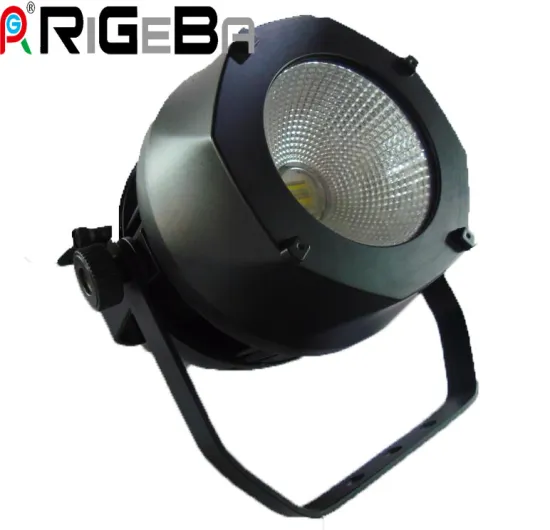 Rigeba 200W Outdoor COB PAR Can Light