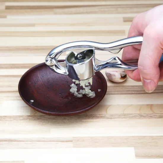 Stainless Steel Garlic Press