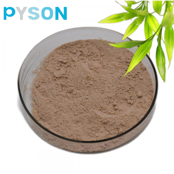 Best Bamboo Leaf Extract Powder
