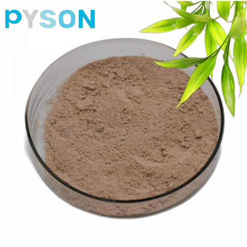 Best Bamboo Leaf Extract Powder