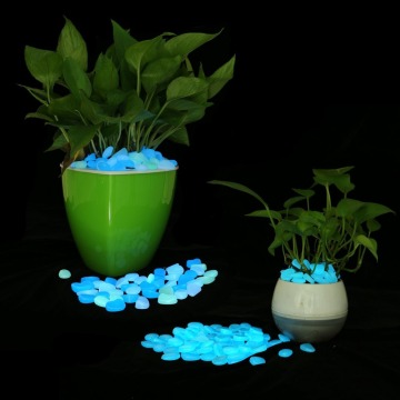 Luminous Pebble Stone Glow In The Dark Stone