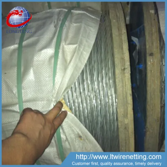 10mm 1*7 Hot Dipped Galvanized Steel Wire Rope                        
                                                Quality Choice