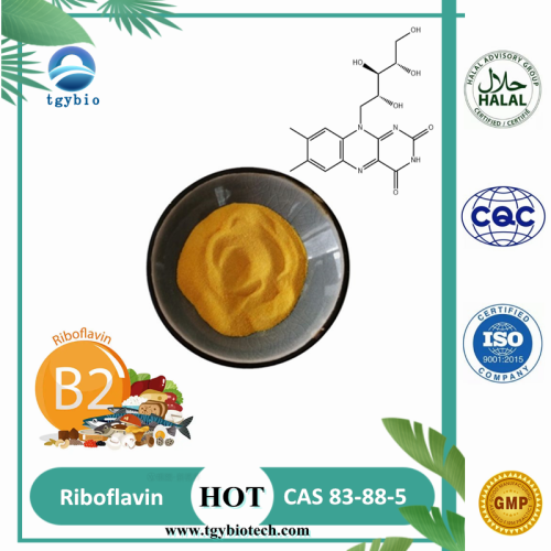 Poudre de riboflavine à haute pureté poudre de vitamine B2