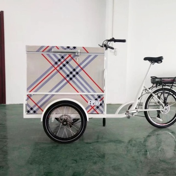 Scegli portatili: scopri il carrello triciclo gelato per congelatore mobile da 250 W per esterno in vendita