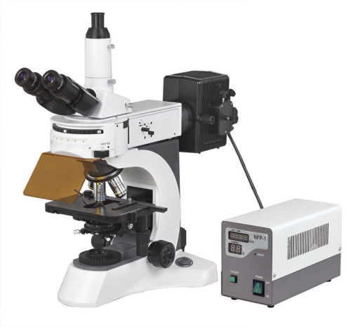 Trinocular Fluorescent Microscopes Reflected With High Resolution