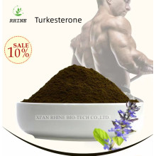 Alta pureza Turkesterone Pó CAS 41451-87-0 entrega segura