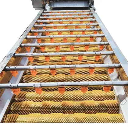 Automatic Vegetable and Fruit Peeling and Washing Machine