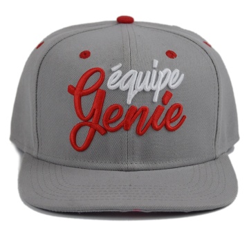 Custom Snap Back Caps: Screen Printing & 3D Embroidery Gray Bordadora De Gorras Snapback Cap