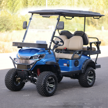 Lvcci 5kw 48V Electric Golf Cart for Sale