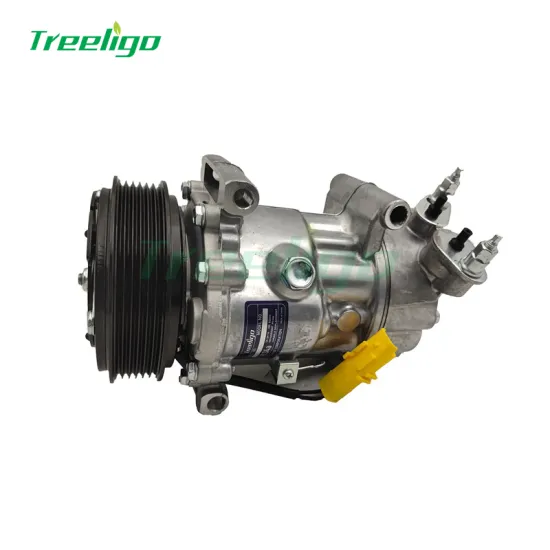 PEUGEOT 206 307 AC Compressor for DS105019 6453XJ 6V12