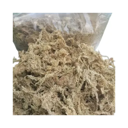 OEM Custom 5KG Phalaenopsis Dendrobium officinale Gardening Materials - Sphagnum Moss for Plant Export