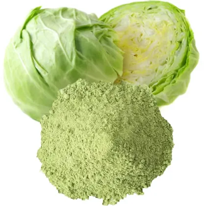 Cabbage Powder/Cabbage Extract/Cabbage Juice Powder