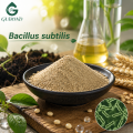 Polvo probiótico Bacillus Subtilis para nutrición animal
