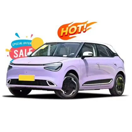 2024 Dongfeng Nammi 01 Electric Hatchback