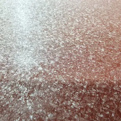 Environmentally Friendly Paint Coated Steel Aluminum