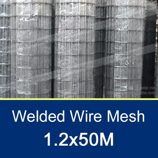 13mm/0.8mm Wall Plaster Welded Wire Mesh
