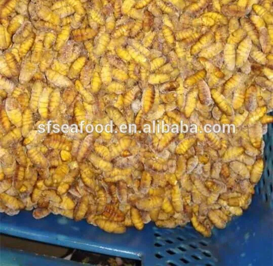 Health Food Of Frozen Silkworm