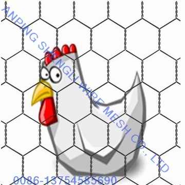 Hexagonal Wire Mesh