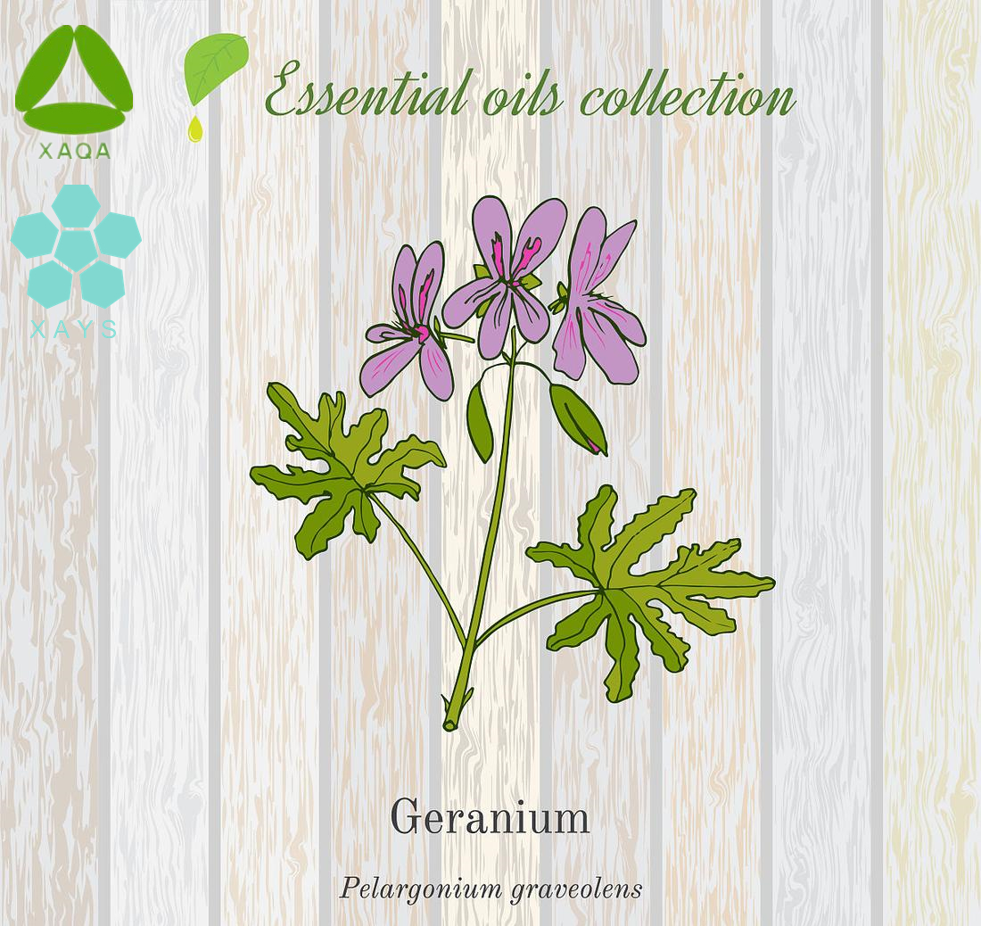 Geranium essential oil (1)