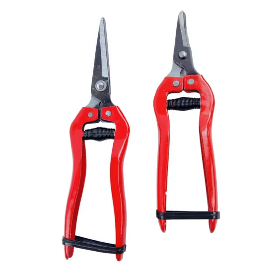 Professional Garden Pruning Shears with Straight and Curved Blades for trimming Plants, Branches, Fruits, Flowers